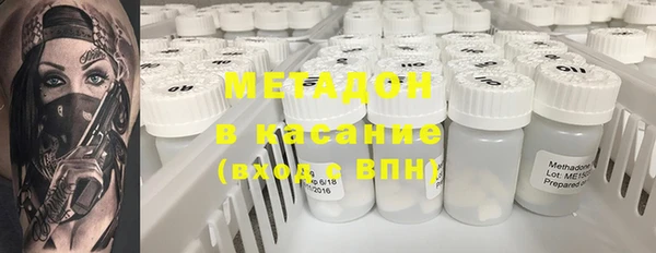 индика Арсеньев