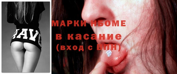индика Арсеньев