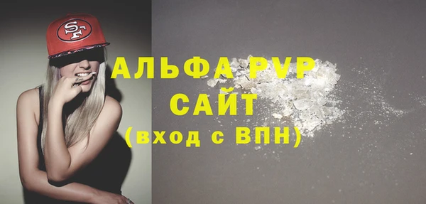 индика Арсеньев