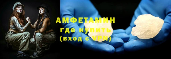 индика Арсеньев