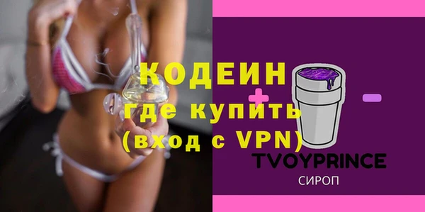 индика Арсеньев