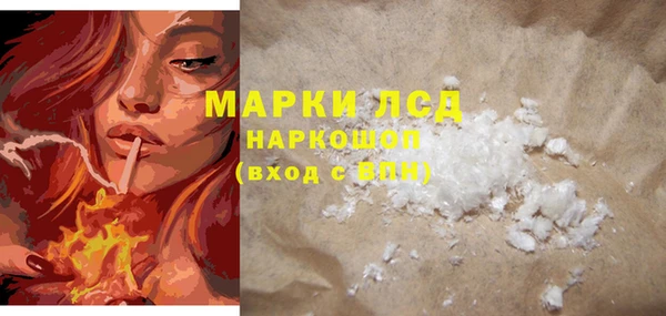 индика Арсеньев
