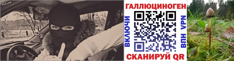 Галлюциногенные грибы мицелий  Купить  Белинский 